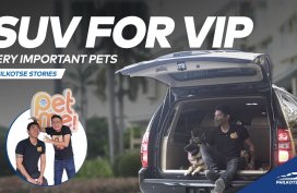 The Chevrolet Suburban of Very Important Pets | Philkotse Stories