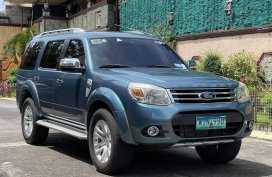 Blue Ford Everest 2013 for sale in Las Piñas