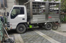 Isuzu Elf Truck 2019