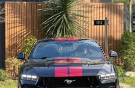 HOT!!! 2024 Ford Mustang GT 5.0 for sale at affordable price! 