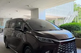HOT!!! 2024 Lexus LM350h for sale at affordable price!
