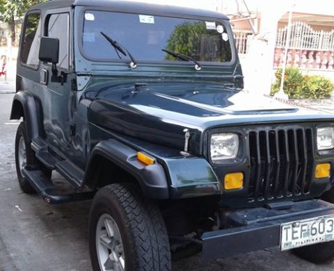 Buy Used Jeep Wrangler 1996 for sale only ₱178000 - ID292342