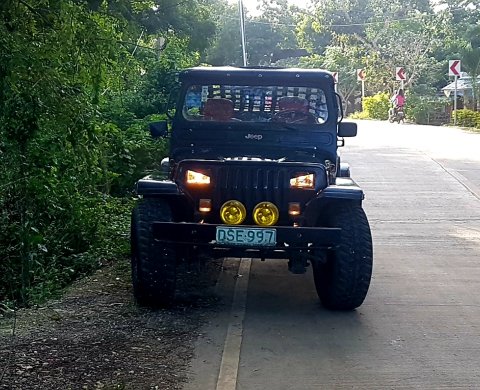 Buy Used Jeep Wrangler 2006 for sale only ₱195000 - ID596219