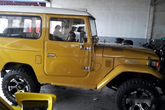 Toyota Land Cruiser 1982