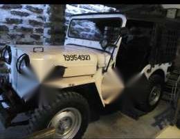 Willys owner jeep