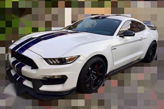 New 2017 Ford Mustang SHELBY GT350R