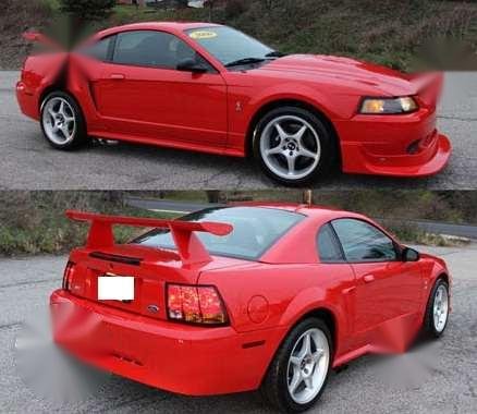 1999 Mustang Cobra Red MT For Sale