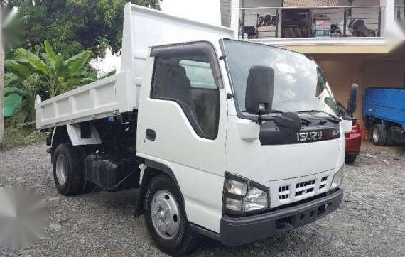 HIGH DECK Isuzu Elf Giga Nkr Mini Dump Truck Eagle eye JAPAN CBU