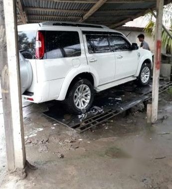 2015 Ford Everest 4x2 MT 2.5 White 