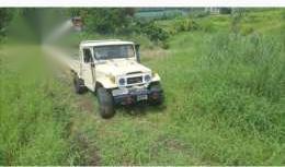 Toyota Land Cruiser FJ45