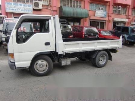 Isuzu Elf Mini Dump Truck for sale