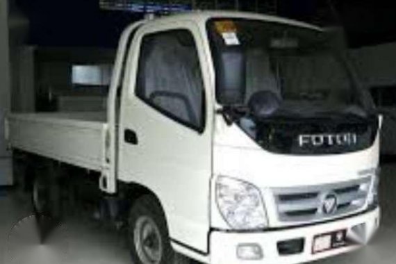 Foton 2013 (300k)