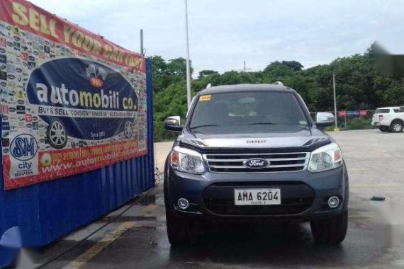 2015 FORD Everest ICA II - Automobilico SM City for sale 