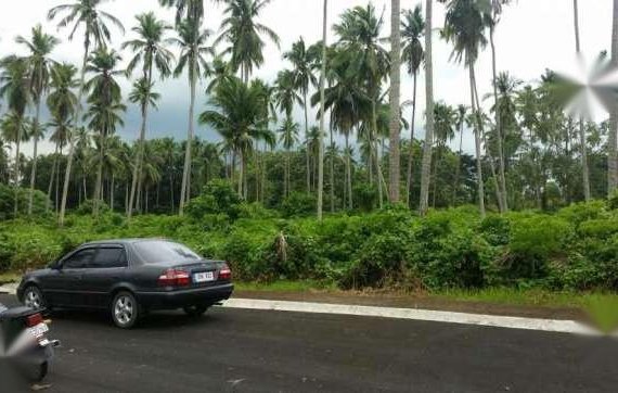 Powerful 1998 Toyota Corolla Gli Lovelife For Sale