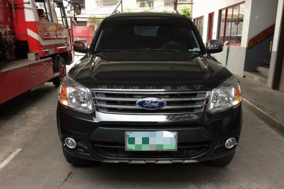 Ford Everest 2013 P700,000 for sale