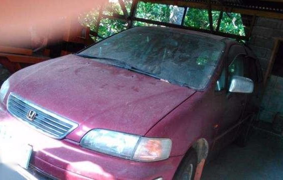 Honda Odyssey sedan red for sale 