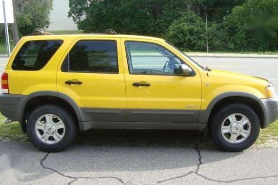 Flawless Ford Escape 2005 AT For Sale