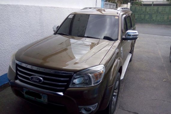 Ford Everest 2009 for sale in Quezon