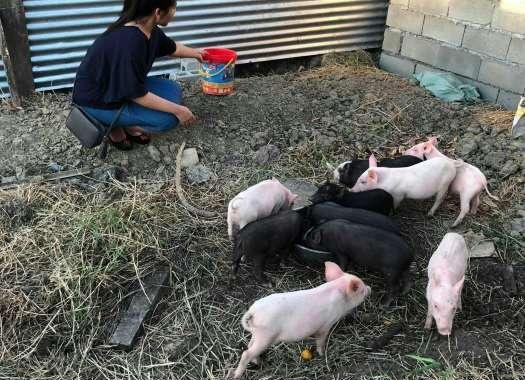 2009 Toyota Vios J for sale