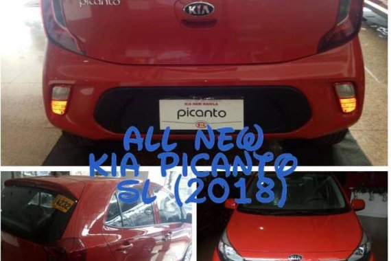 all new Kia Picanto 2018 for sale 