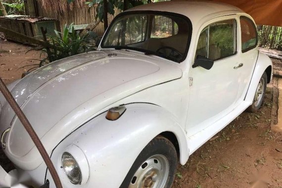 1968 Volkswagen Beetle Anzahl paint for sale