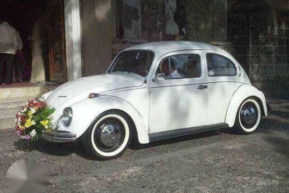 1977 Volkswagen Beetle for sale