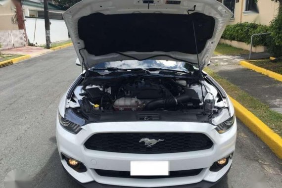 2016 Ford Mustang Special for sale