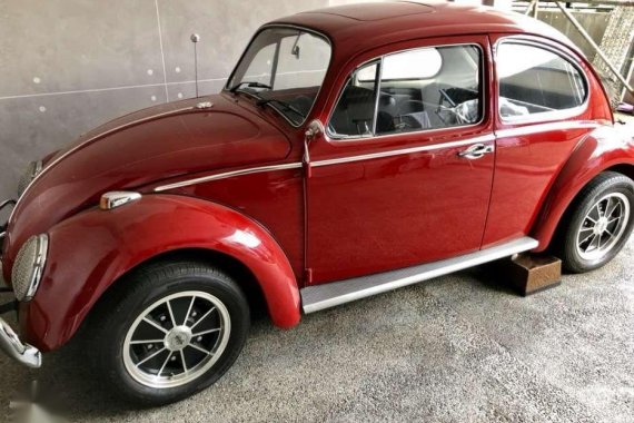 VW 1600 Beetle 1966 Car Show Condition . 