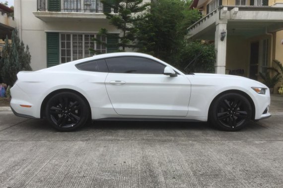  FORD MUSTANG ECOBOOST 2017 for sale