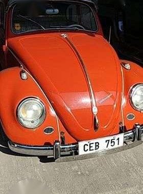 Buy Now! 1964 Limited Beetle