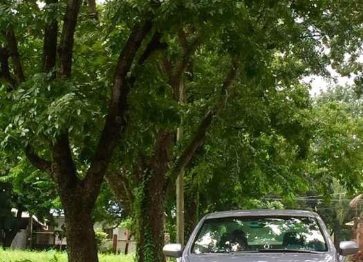 Honda Civic fd Acquired 2007 Top of the line S