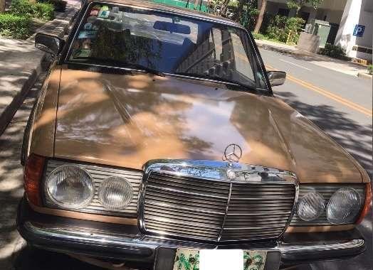 1976 Mercedes-Benz 230 for sale