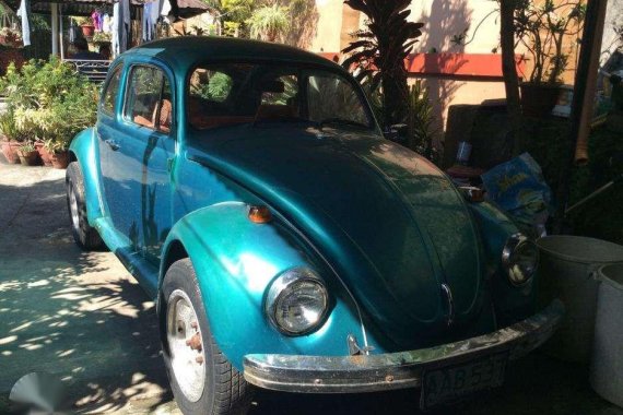 Volkswagon Beetle 1976 Brazil