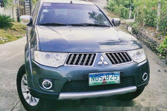 2010 Mitsubishi Montero for sale