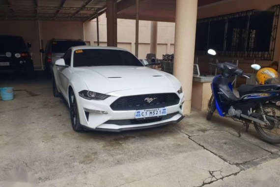 Brandnew Ford Mustang 2019 FOR SALE