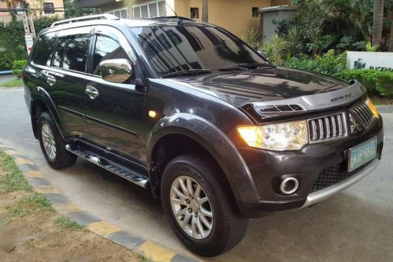 2010 Mitsubishi Montero for sale