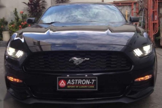 2019 Brandnew FORD Mustang Premium Edition 23 Ecoboost New Arrivals