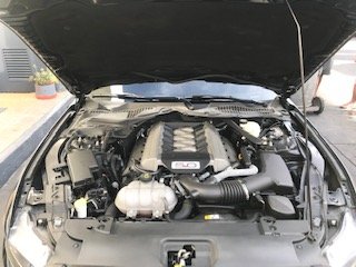 2016 Ford GT Ford Mustang Coupe 5.0