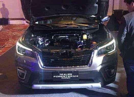 All New Subaru Forester 2019 for sale