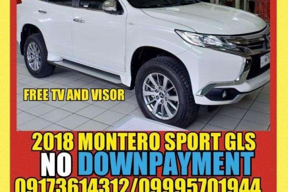 2019 Mitsubishi Montero Sport for sale
