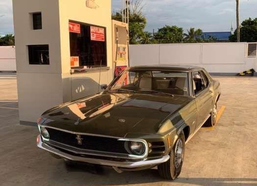 For Sale 1970 Ford Mustang Collectors Item