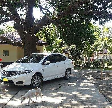 Honda City 2013 for sale