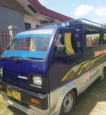 Sell Blue 2006 Suzuki Carry in Tagum 