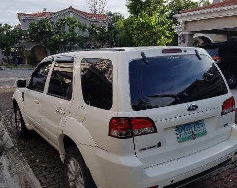 Selling Used Ford Escape 2010 in Biñan