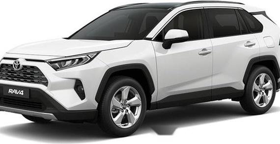 Toyota Rav4 2019 Automatic Gasoline for sale