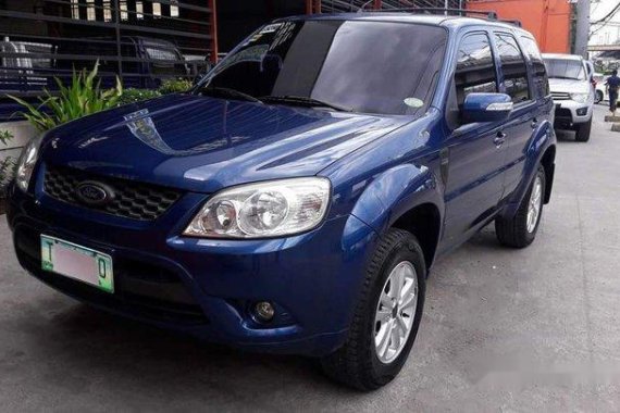 Selling Blue Ford Escape 2012 Automatic Gasoline