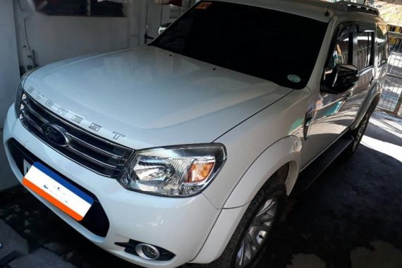 Sell 2nd Hand Used 2015 Ford Everest at 80000 km in Toledo