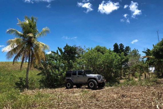 2017 Jeep Wrangler for sale in Mandaue