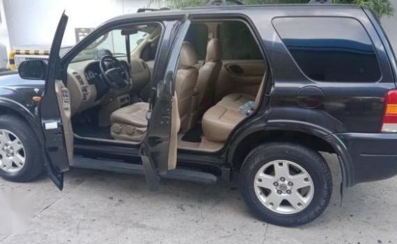 Ford Escape 2004 Automatic Gasoline for sale in Indang