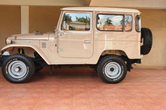 1978 Toyota Land Cruiser for sale in Dumaguete